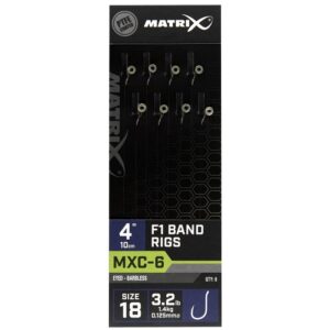 Matrix MXC-6 F1 Band Rigs 10CM (GRR085-087)