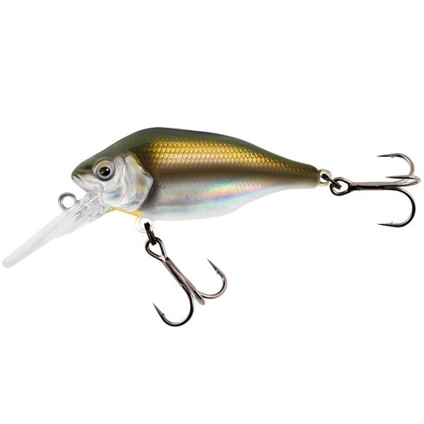Fox Rage Funk Bug DR 5CM - UV Real Shiner