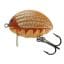 Salmo Lil Bug Floating 2CM - May Fly (QBG016)