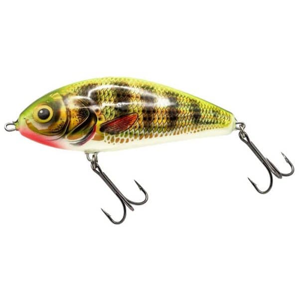 Salmo Fatso 14CM - Holo Perch