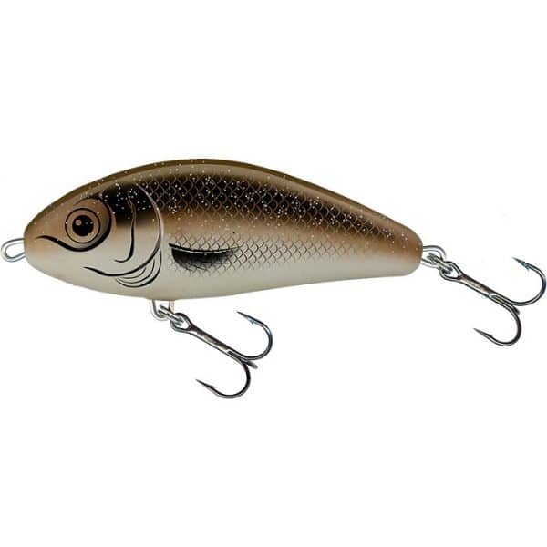 Salmo Fatso - Arkansas