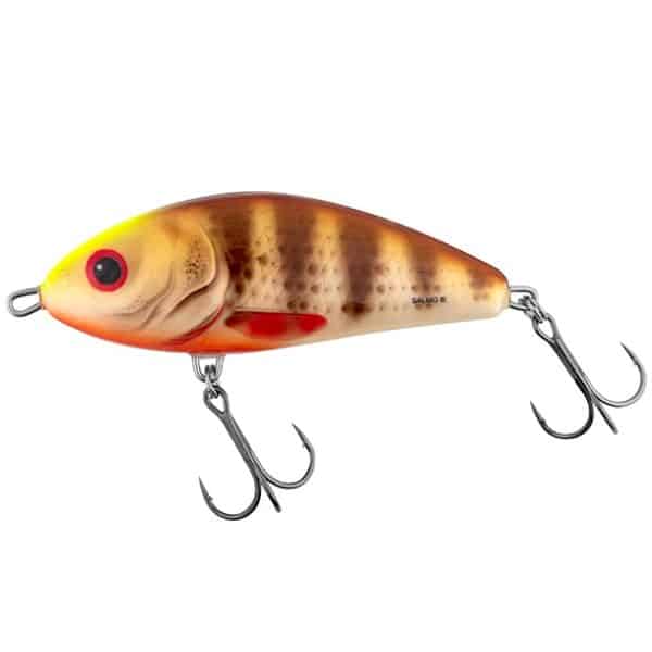 Salmo Fatso - Spotted Brown Perch
