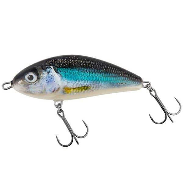 Salmo Fatso - Holo Smelt