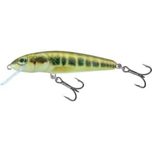 Salmo Minnow Floating 5CM (QMW001-155)