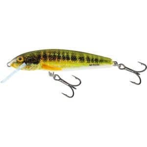 Salmo Minnow Sinking 6CM (QMW018-192)