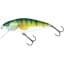 Salmo Perch Floating 8CM - Perch (QPH009)