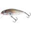 Salmo Perch Floating 12CM - Holo Grey Shiner (QPH021)