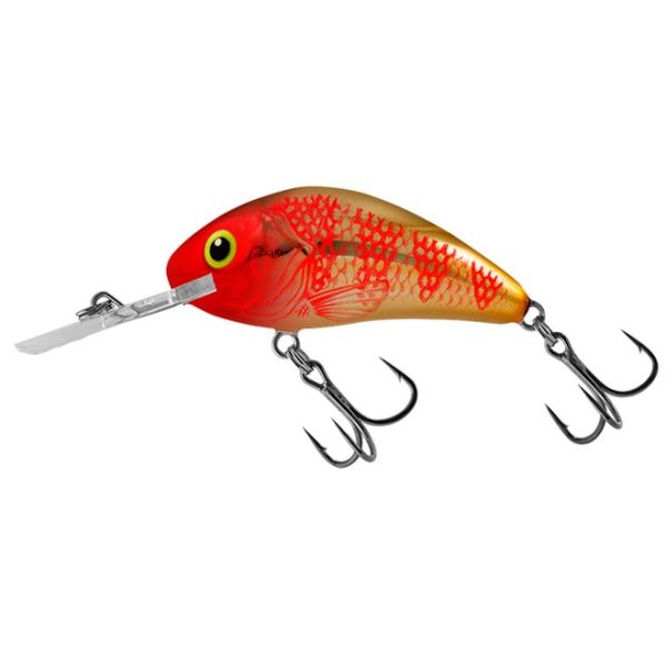 Salmo Rattlin Hornet Floating - Golden Red Head